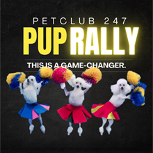 Pup Rally - Fall 2024